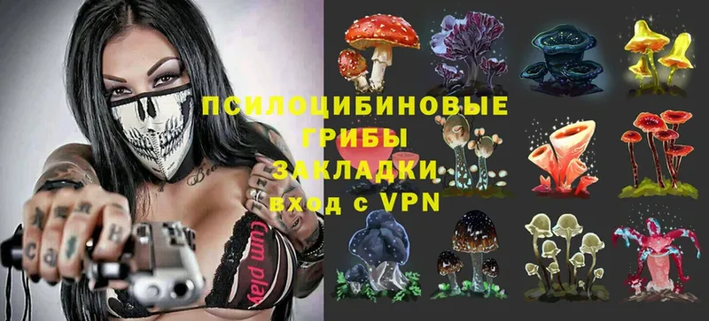 Галлюциногенные грибы прущие грибы  blacksprut сайт  Моздок 